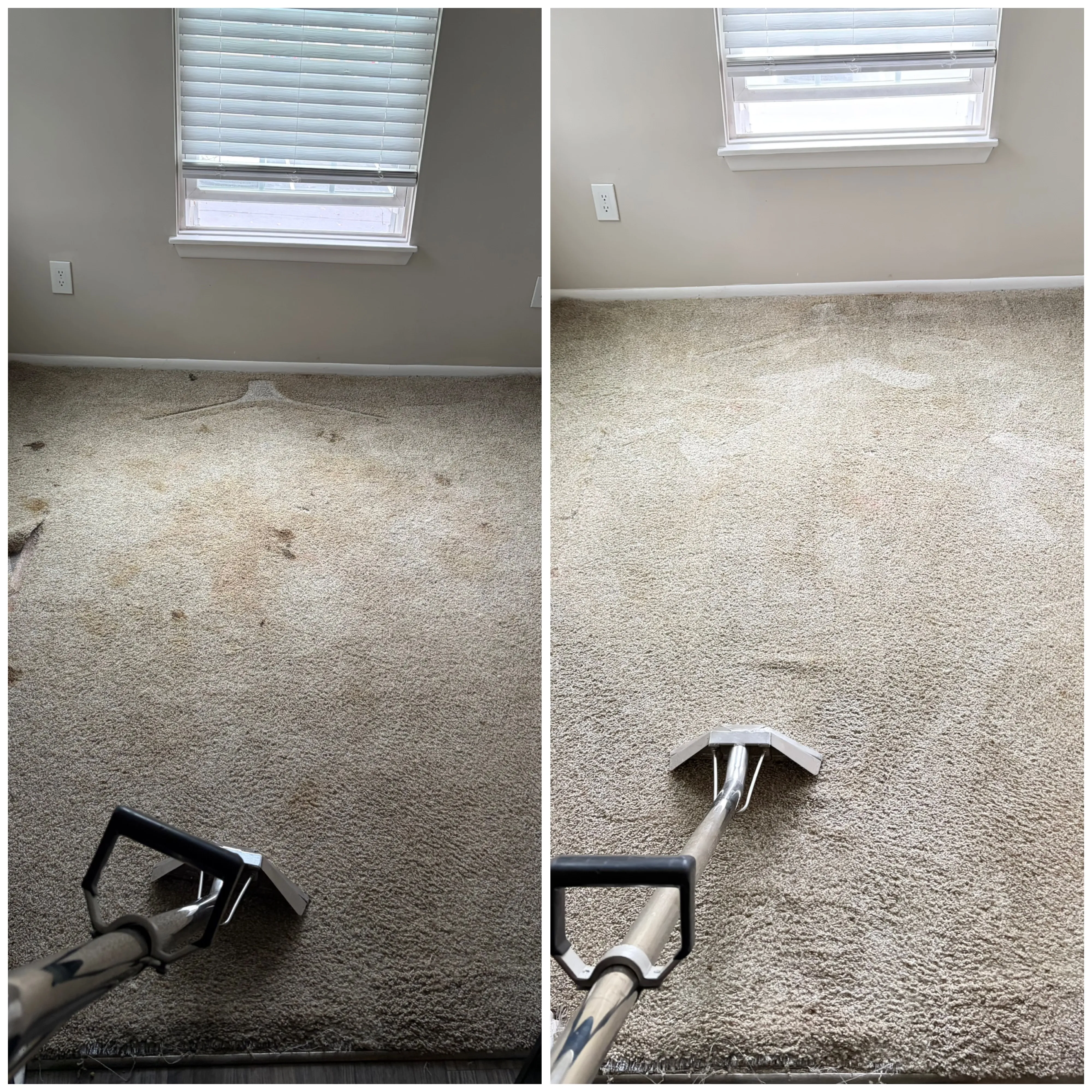 Carpet Cleaning Your Nearby Location